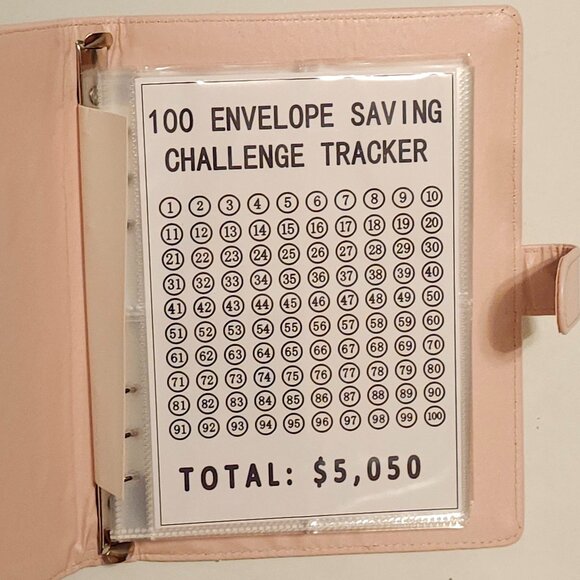 VIRAL 100 Envelope Savings Challenge Binder with Inserts CASH STUFFING PINK - Picture 2 of 4